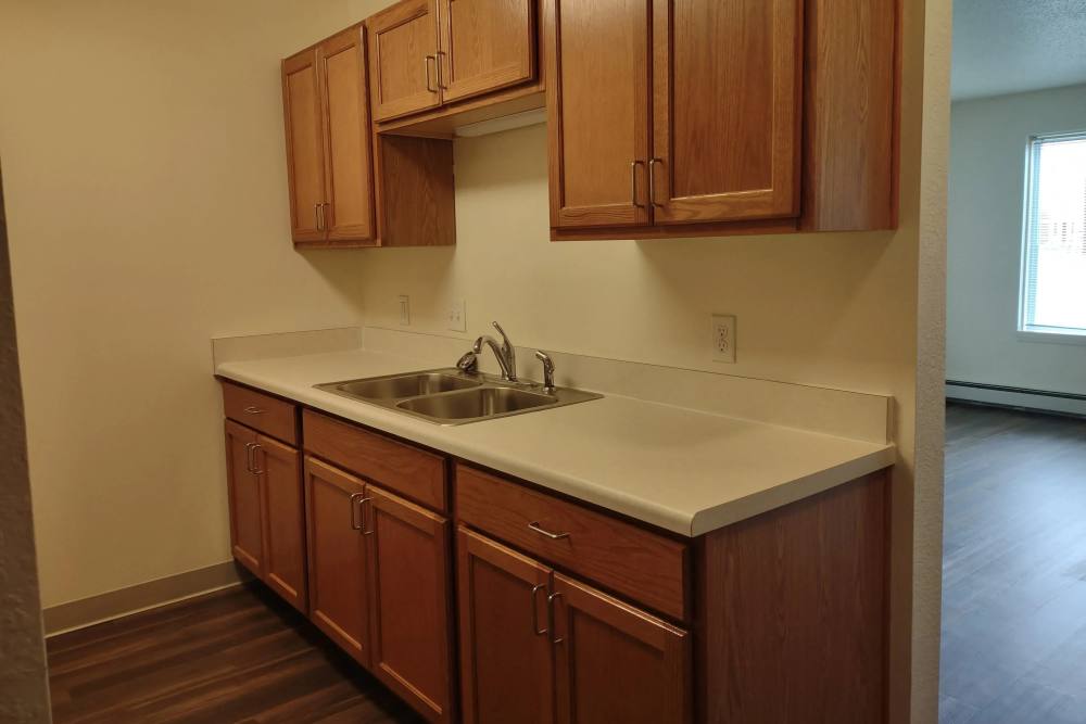 Kitchen with stainless-steel sink and wooden cabinets at Willow Creek Apartments in Escanaba, Michigan