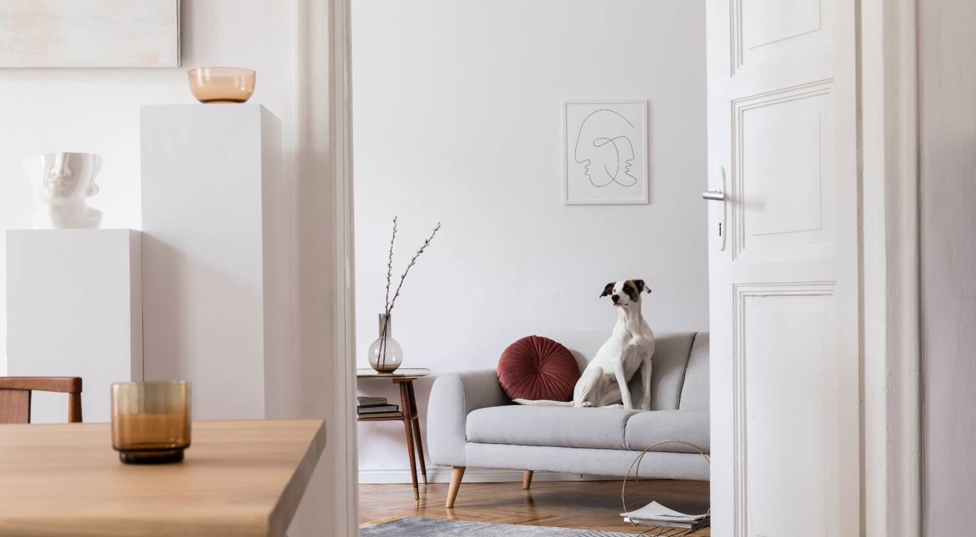 Pet Friendly | Lark in San Antonio, Texas