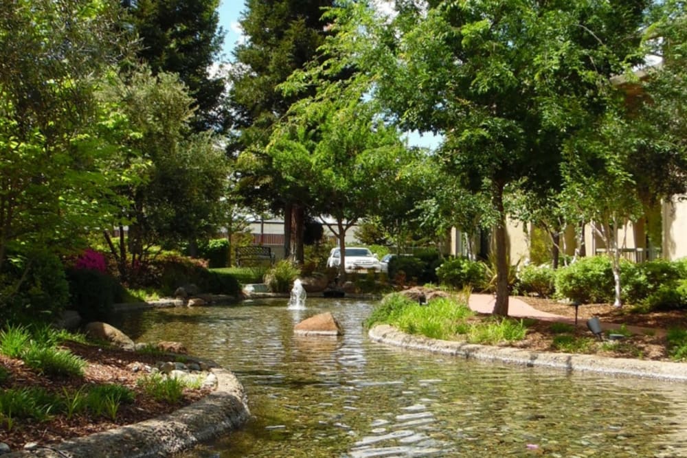 Water feature at Winding Commons Senior Living in Carmichael, California