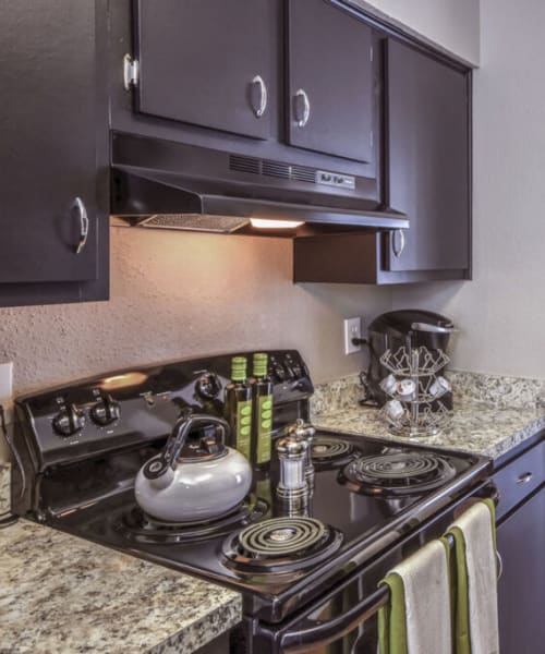 Kitchen with dark cabinets at Vintage at 18th Street in Houston, Texas