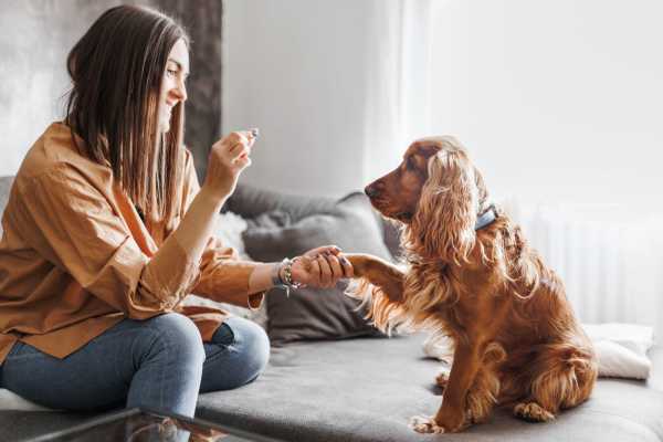 girl with dog