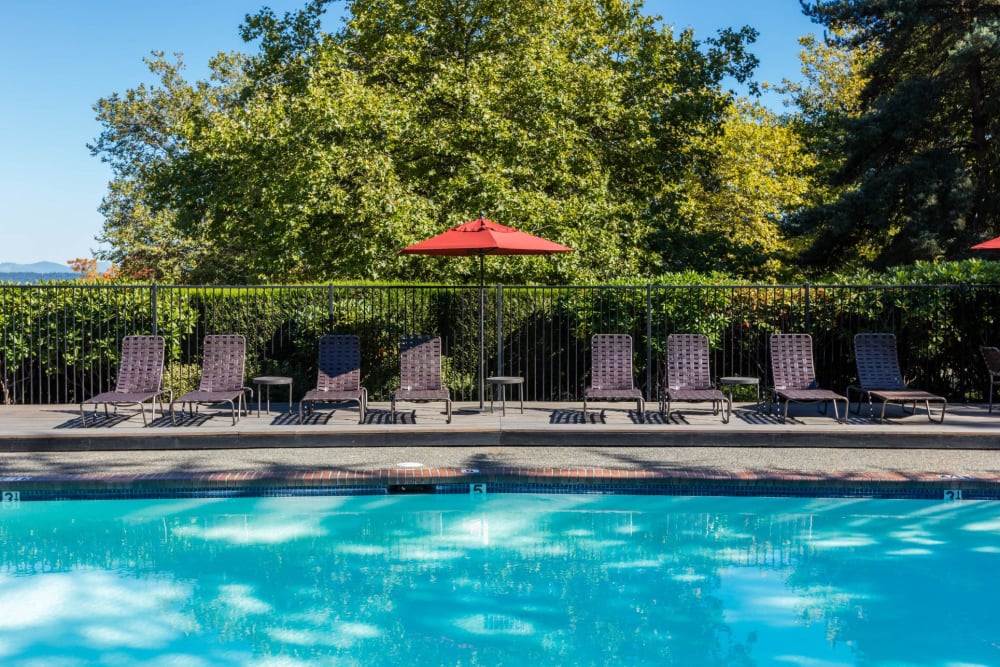 Rendering community pool at Skyline Redmond in Redmond, Washington