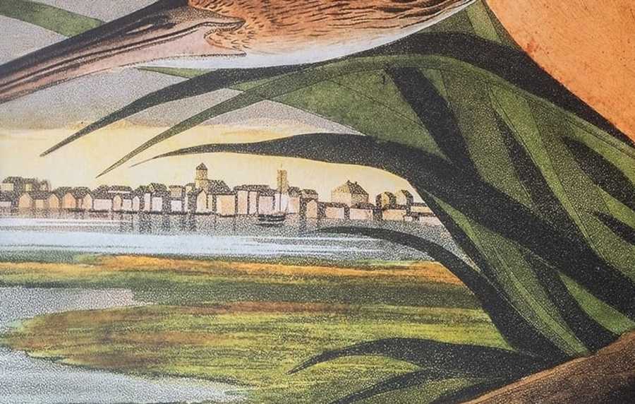 Bird art at The Heron Downtown in Baton Rouge, Louisiana