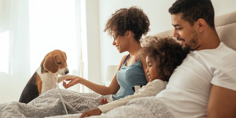 Family laying in bed with their dog at Amhurst Apartments in Dayton, Ohio