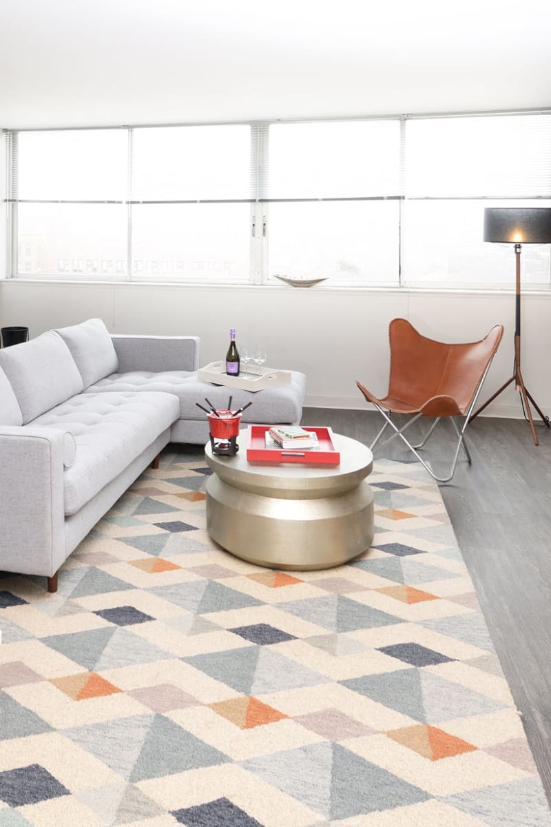 Spacious living room with a cool area rug at Scio at the Medical District in Chicago, Illinois