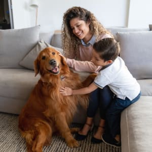 Resident mother and son spending time with their Golden Retriever in their pet-friendly home at Parkway Villas in Grand Prairie, Texas