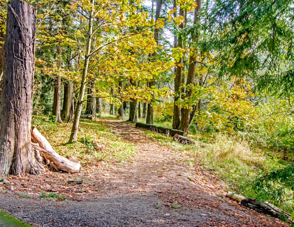 Wooded trail entrance at Sofi at Cedar Mill in Portland, Oregon