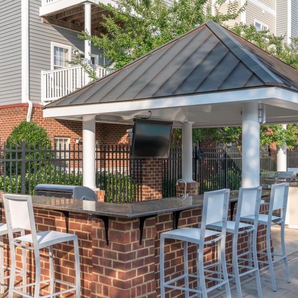 Barbeque area at Meridian Parkside, Newport News, Virginia