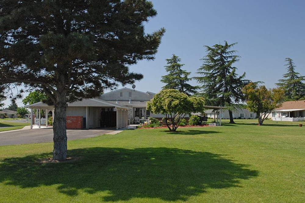 Senior Living in Atwater Have Well Landscaped Yards
