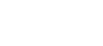 Newport Apartments Logo