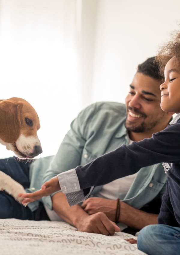 Pet-friendly apartments at The Retreat at Rio Salado, Tempe, Arizona