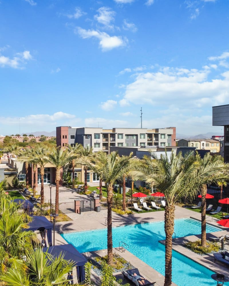 Resort-style pool with palm trees at The Retreat at Rio Salado, Tempe, Arizona