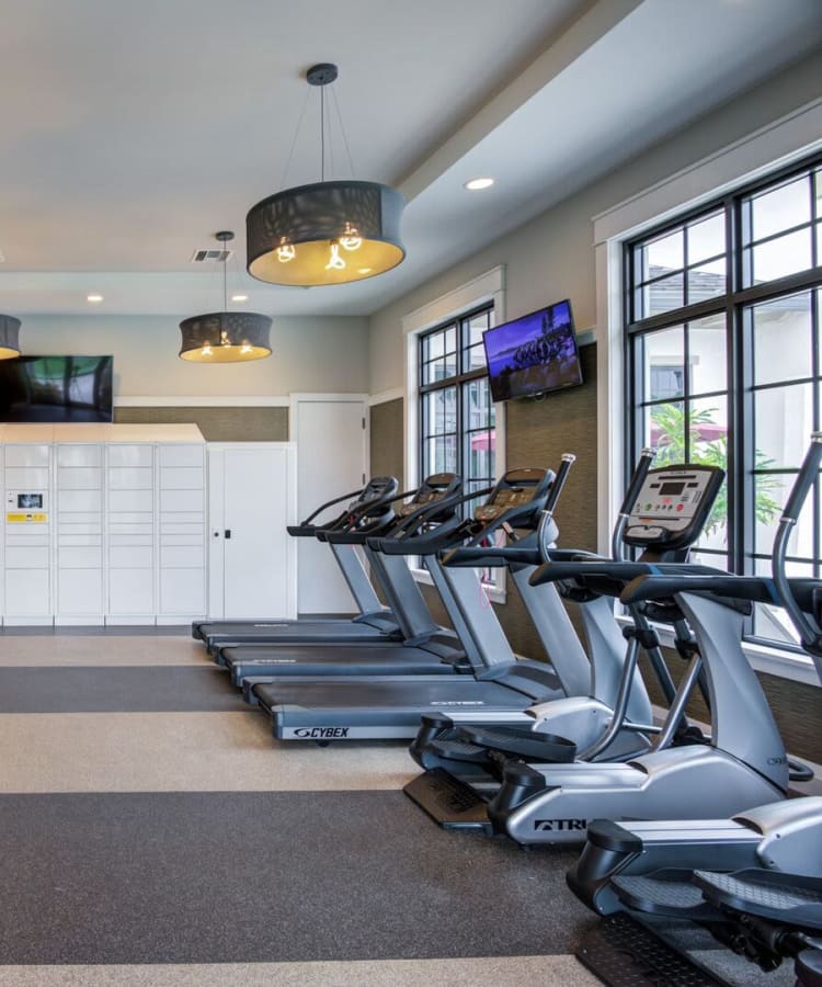 Community gym with treadmills at Shalimar at Davie in Davie, Florida