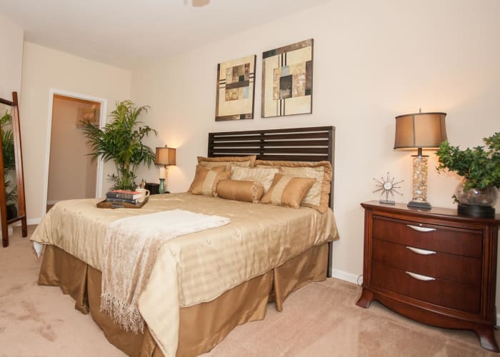 One Rocky Ridge Apartment Homes spacious bedroom in Douglasville, Georgia