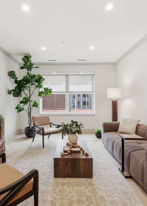 Cozy living room with sofa, coffee table, and indoor plants in a bright setting at The Lawrence in Buffalo, New York