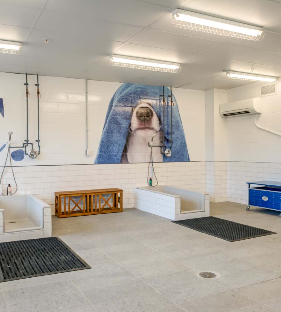 pet wash station at Canvas Valley Forge in King Of Prussia, Pennsylvania