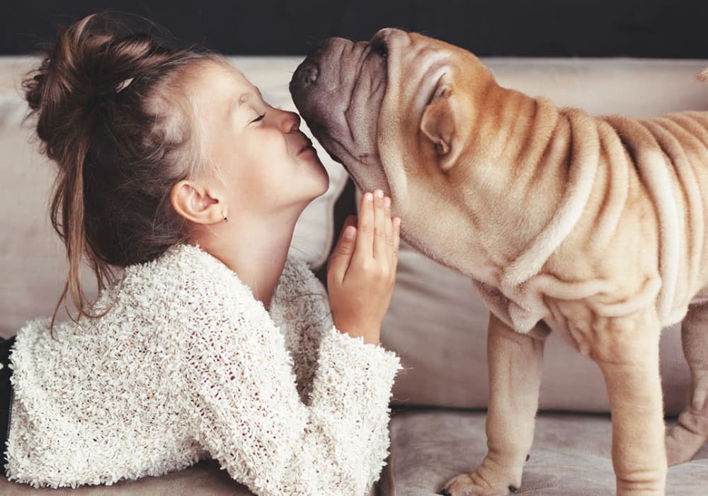 Child girl playing with her dog on a bed at the pet-friendly apartments for families at Everwood at The Avenue in Murfreesboro, Tennessee