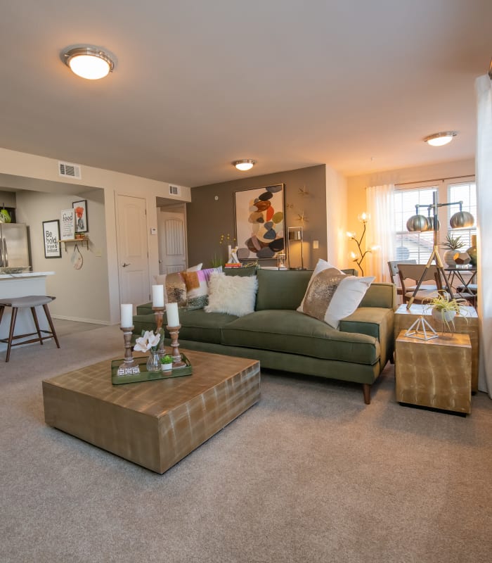 Carpeted living room at Portico at Friars Creek Apartments in Temple, Texas