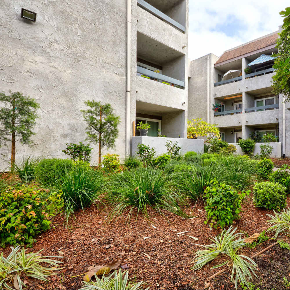 Lots of trees in the community at Acacia Villa in Garden Grove, California, 