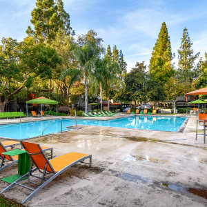 Swimming pool at Falls at Arden in Sacramento, California