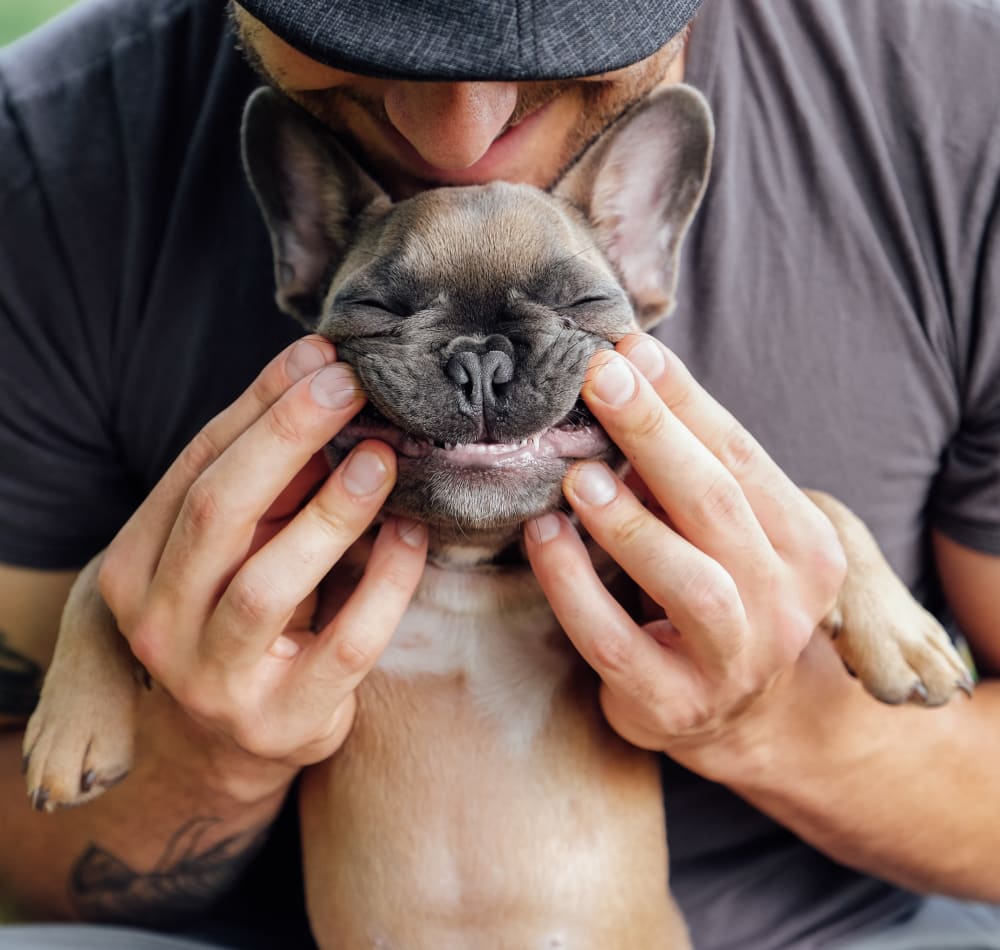 Resident playing with his puppy at Terra Apartment Homes in Federal Way, Washington