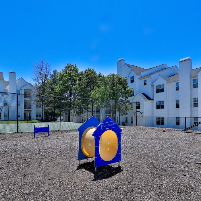 Dog Park at{ {location_name}} in Baltimore, MD