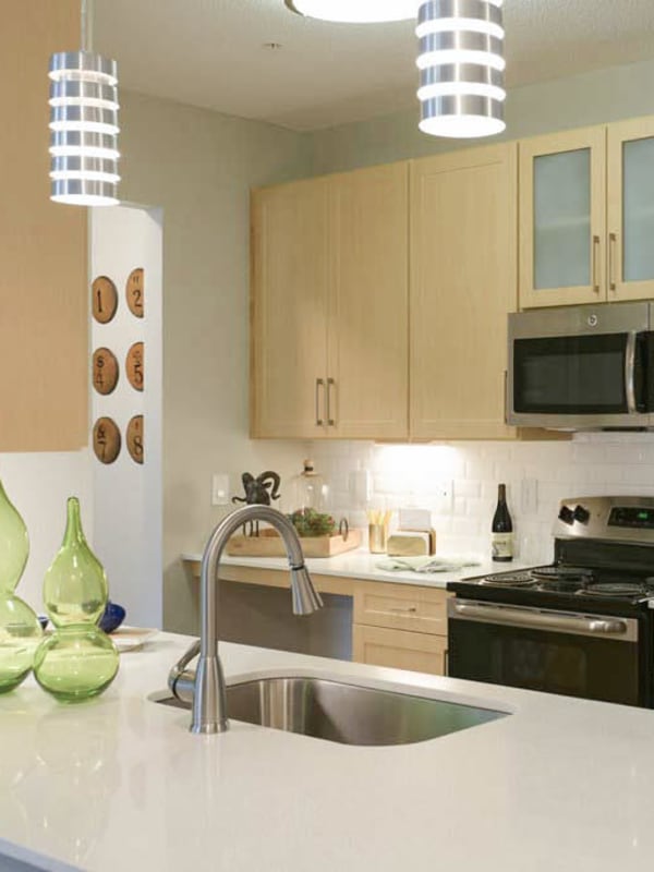 Modern and updated kitchen with quartz countertops at Woodhaven at Park Bridge in Alpharetta, Georgia