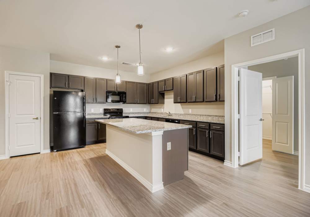 Modern kitchen with dark cabinets and sleek granite countertops at Standard at Royal Lane in Dallas, Texas