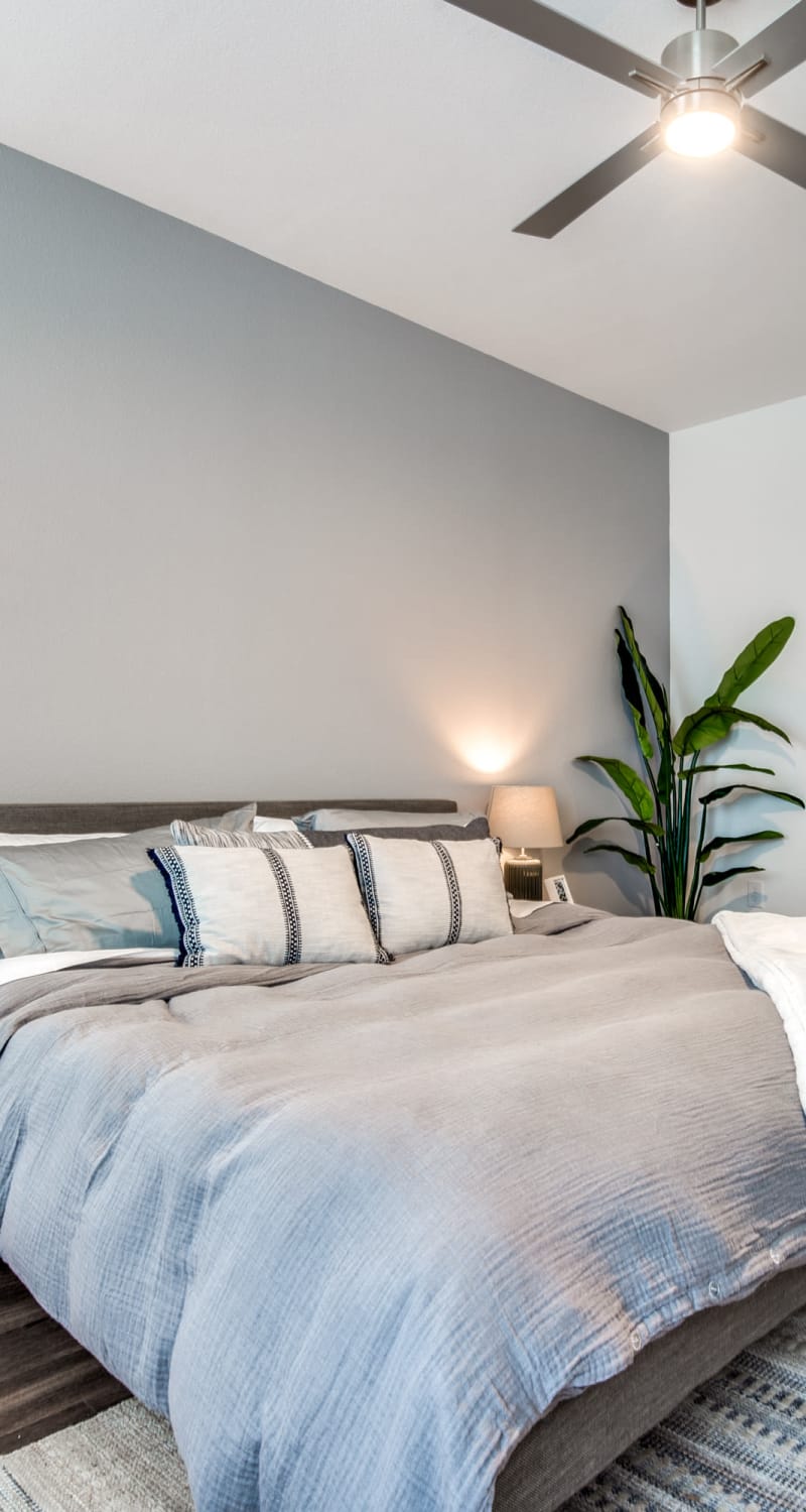 Large bedroom space with plants and ceiling fan at Mezzo Apartments in Aubrey, Texas