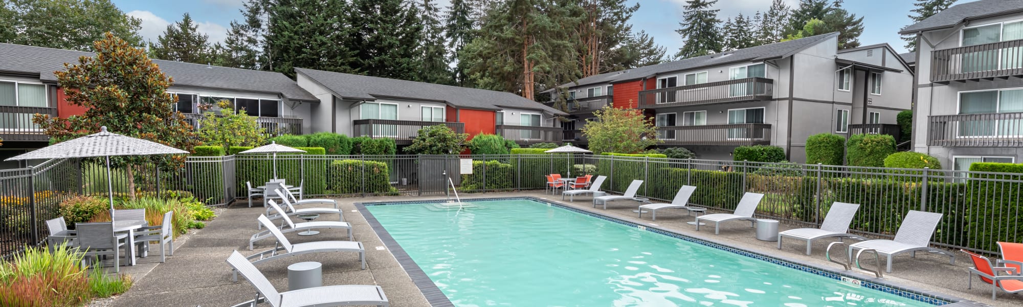 Pet friendly at Edgewood Park Apartments in Bellevue, Washington