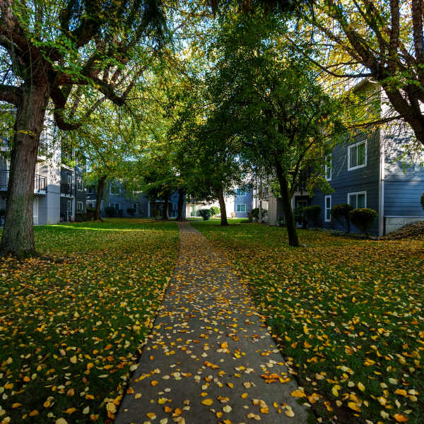 leaves falling on a walking path outside at Terra @ Monroe in Monroe, Washington