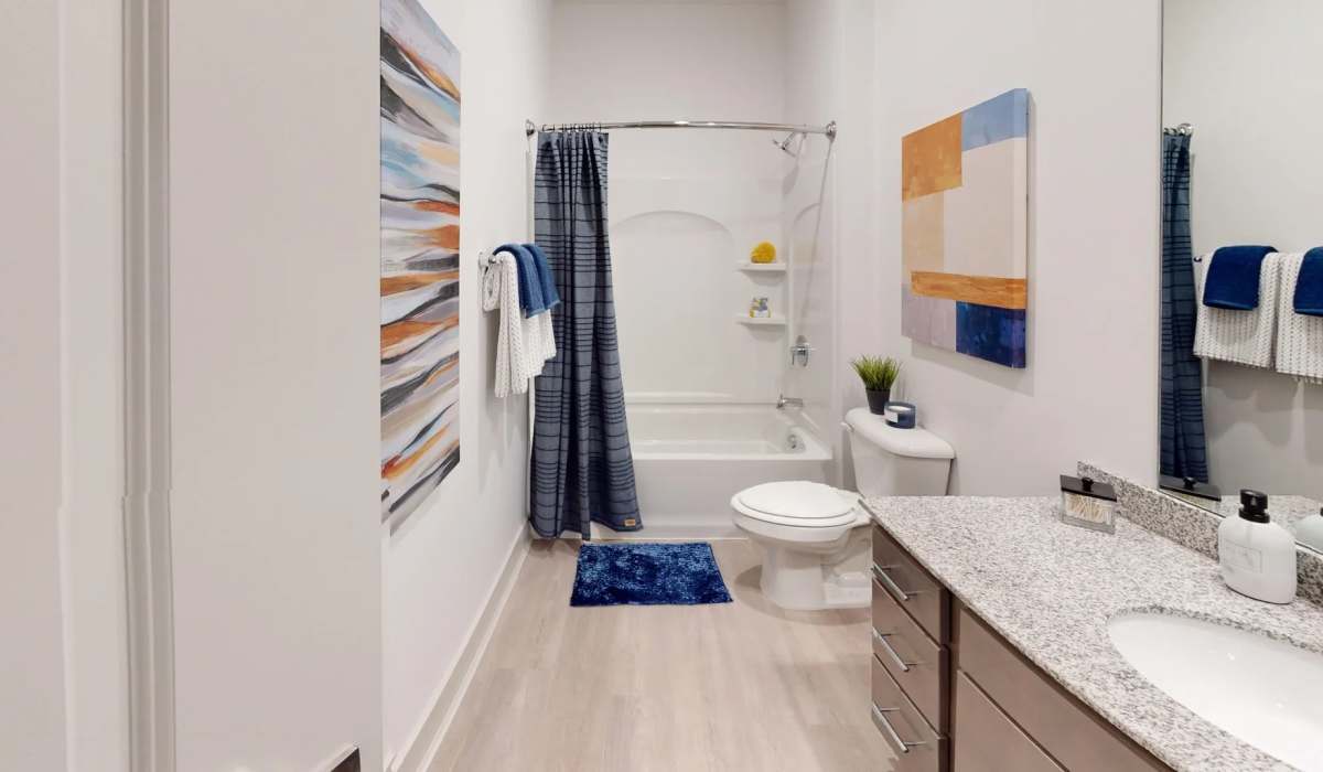 Modern Apex floor plan bathroom at Elevation 800 featuring a granite vanity, framed mirrors, wood-style flooring, and a shower-tub combo with contemporary décor.