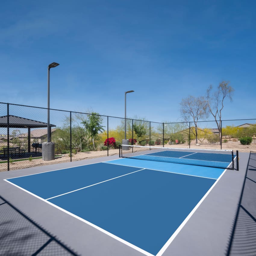 Lighted Pickleball Court at Las Colinas at Black Canyon