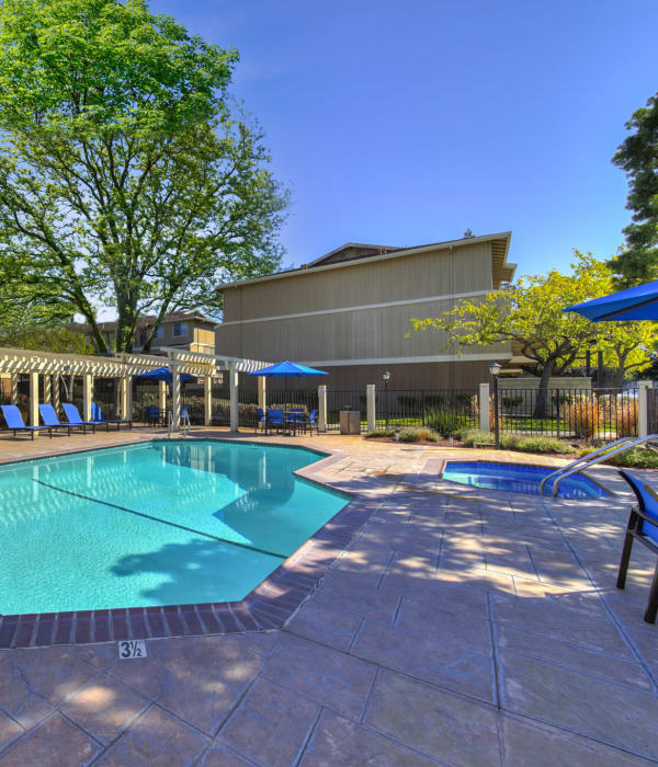 Poolside view with spa and lounges at Parkside Commons Apartments in San Leandro