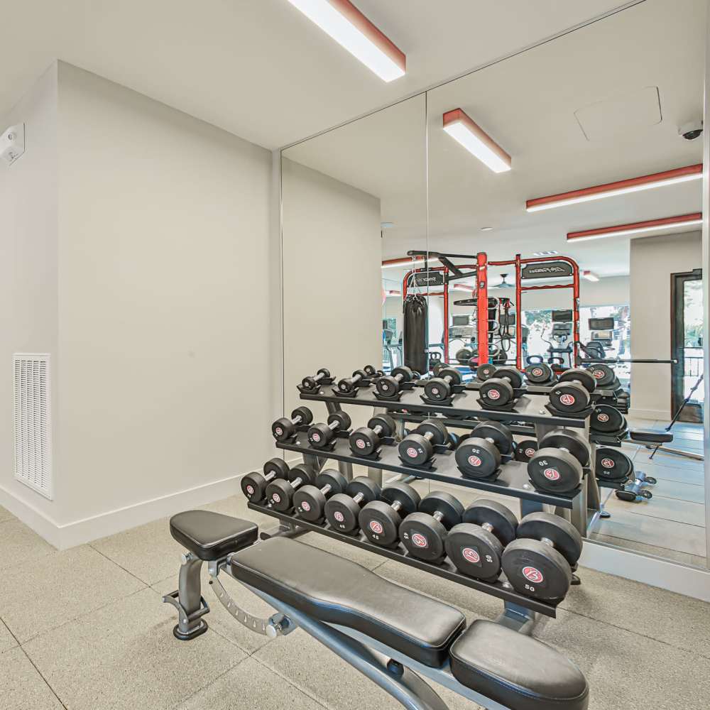 Free weight station at Barnett in Houston, Texas