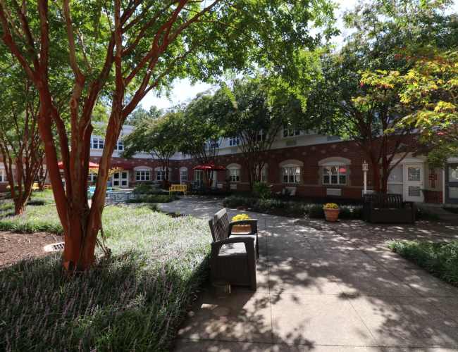 View of the apartment building surrounded by trees at The Crossings at Ironbridge in Chester, Virginia
