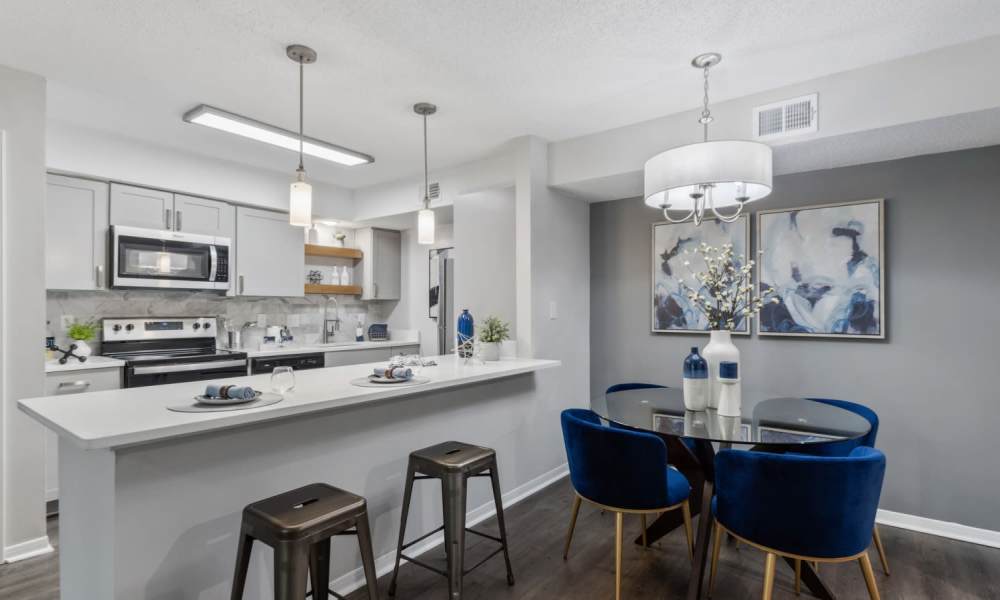 Upgraded kitchen at The Victor in Greenville, South Carolina