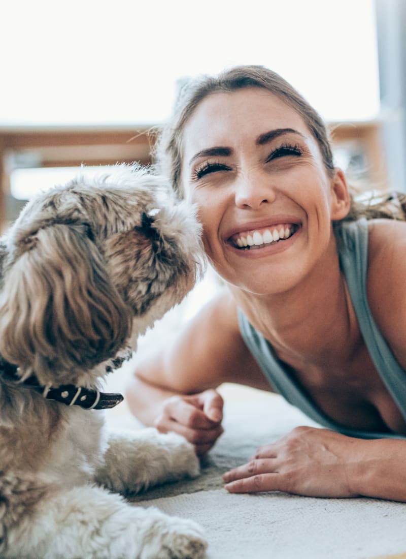 No pet weight limits at Regents West at 24th in Austin, Texas