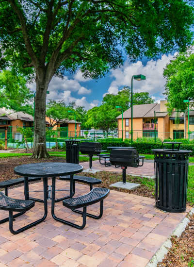 Outdoor Barbecue Area at Waterstone At Carrollwood in Tampa, Florida