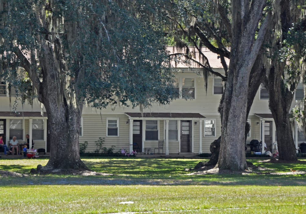 Housing with big trees at St. Johns Landing Apartments in Green Cove Springs, Florida