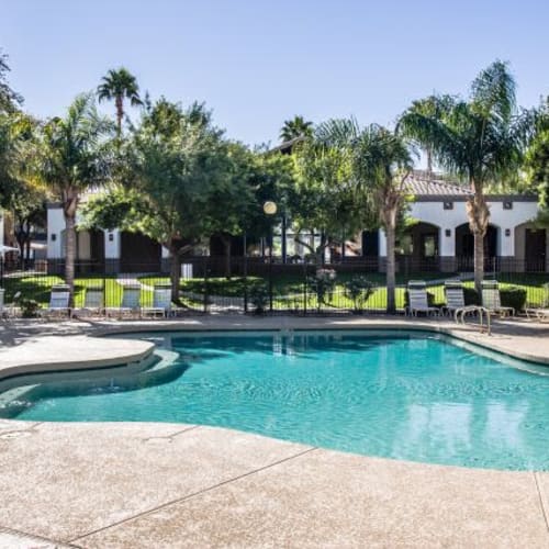 Rendering of residents swimming pool at Sterling Point in Phoenix, Arizona