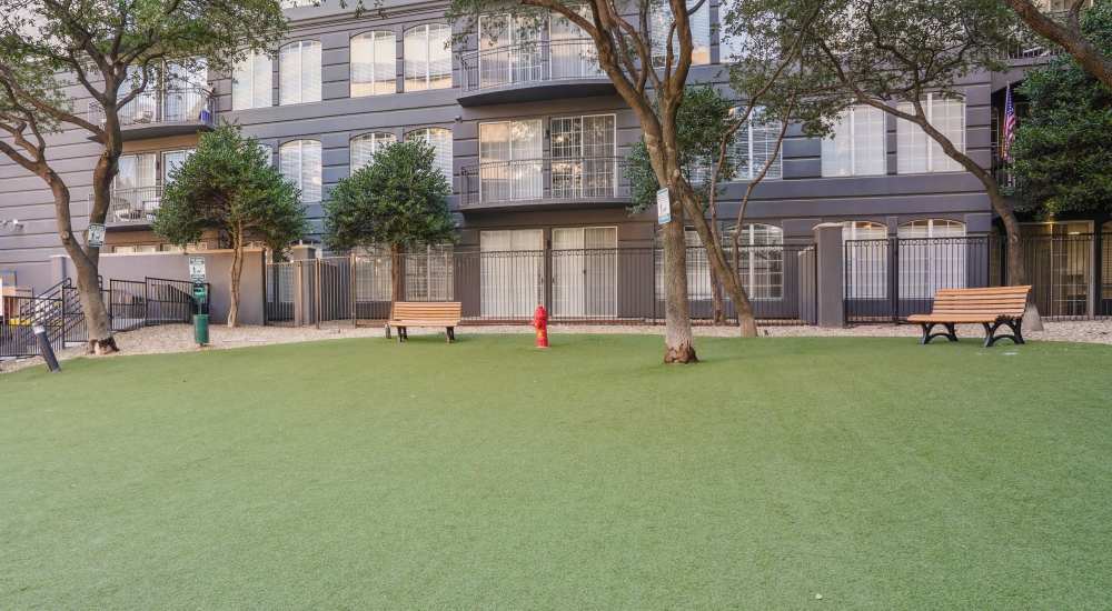 Dog park at Remi in Dallas, Texas