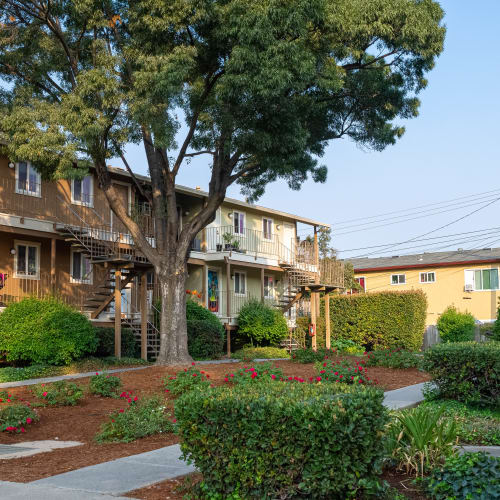 Courtyard at Alderwood Park Apartments in Livermore, California