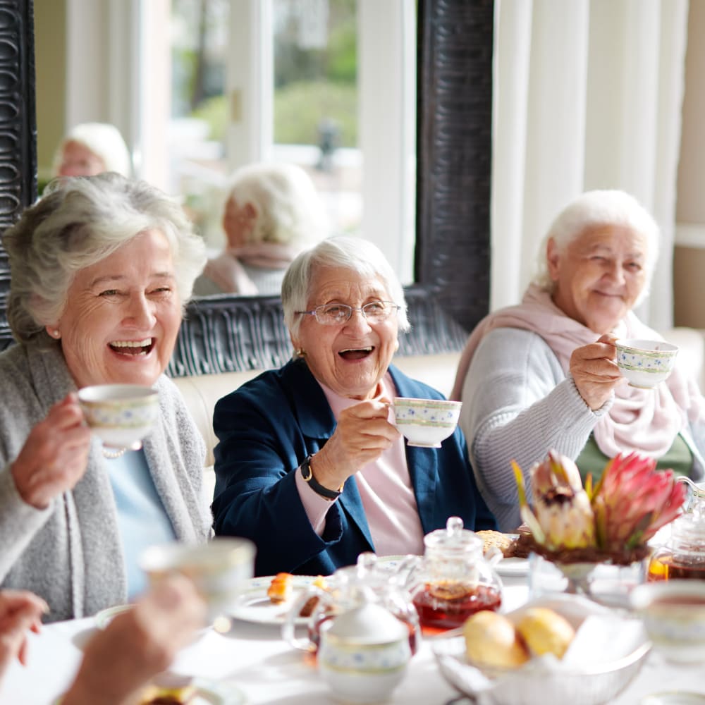 Residents having tea at Carolina Gardens at York in York, South Carolina
