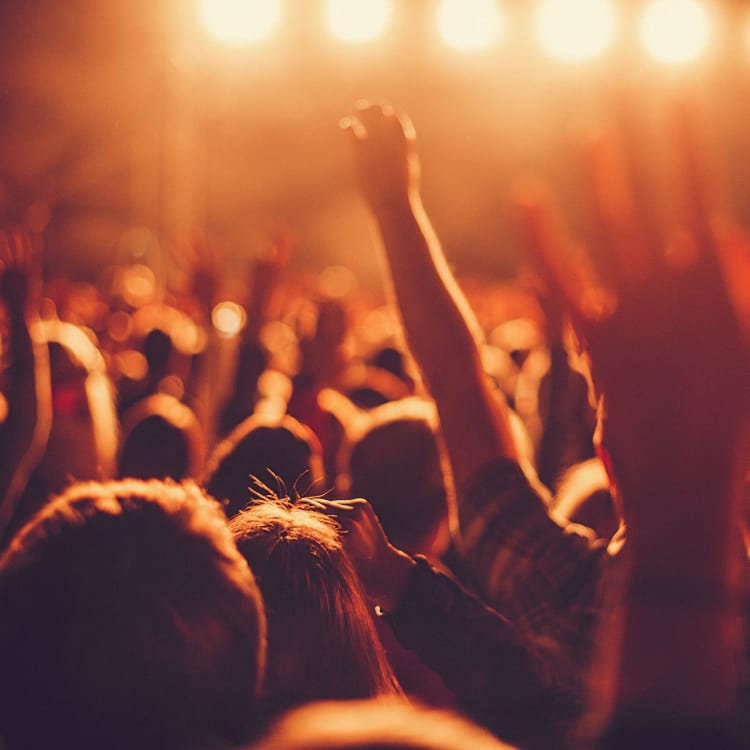 People enjoying a concert