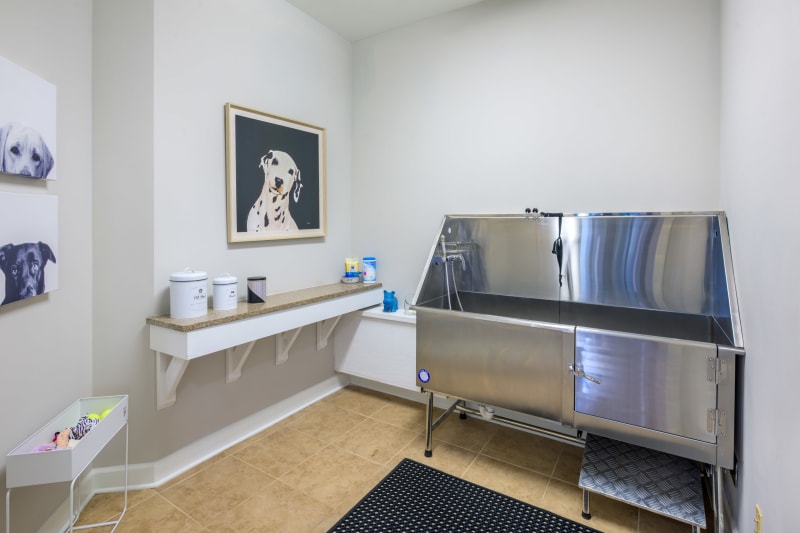 Dog wash station at The Vive in Kannapolis, North Carolina