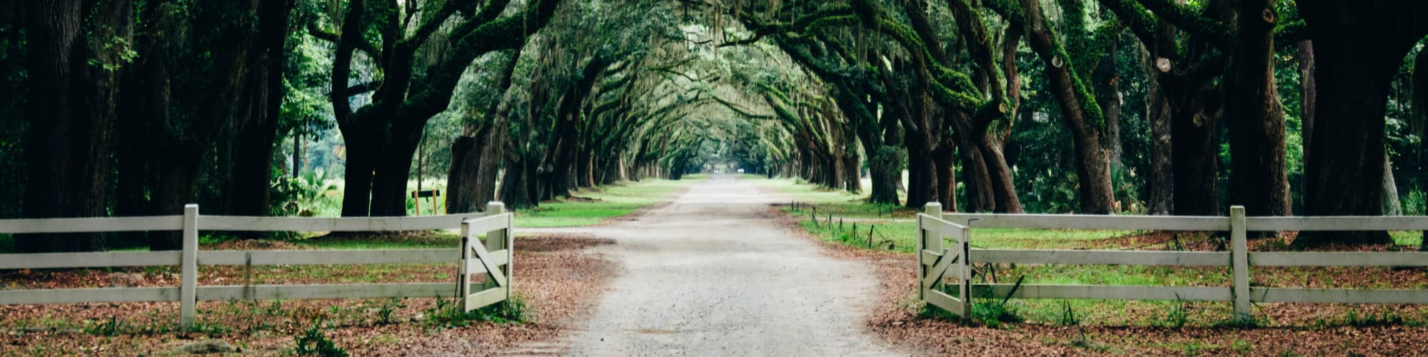 Apartments in Mobile Alabama