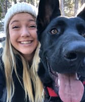 Dr. Brittany McDonald at Black Forest Veterinary Clinic in Colorado Springs, Colorado