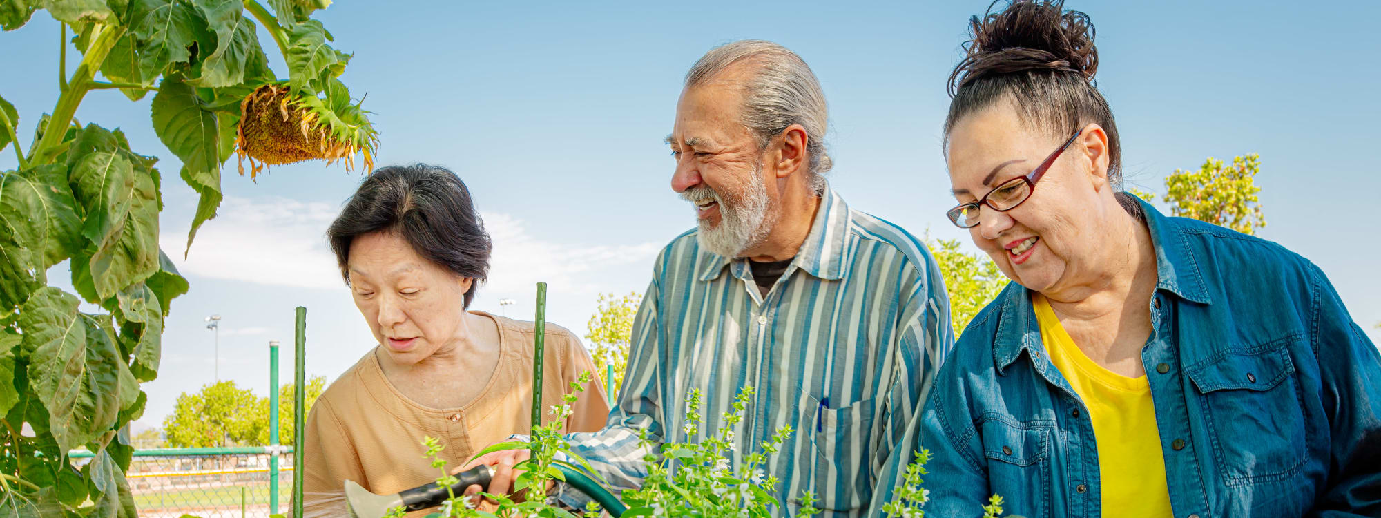 Volunteer Opportunities at The Sanctuary at West St. Paul in West St. Paul, Minnesota