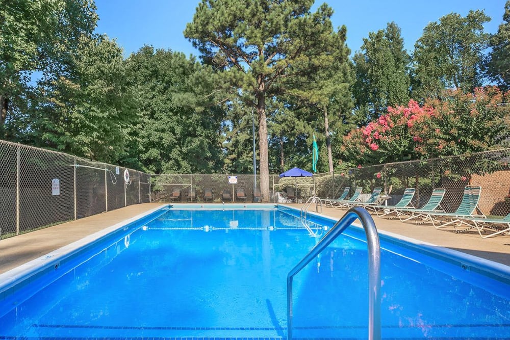 Rendering community pool at Patrician Terrace Apartment Homes in Jackson, Tennessee